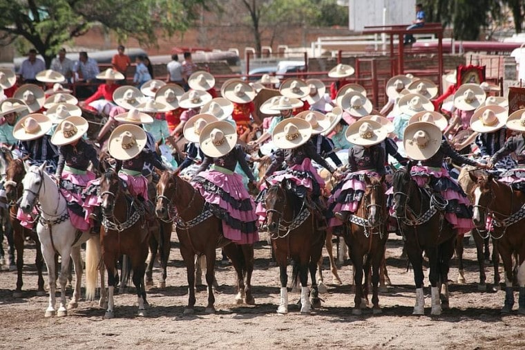 墨西哥游行的马