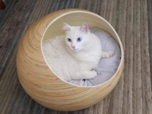 猫里面的fhasso豪华竹豆荚猫床