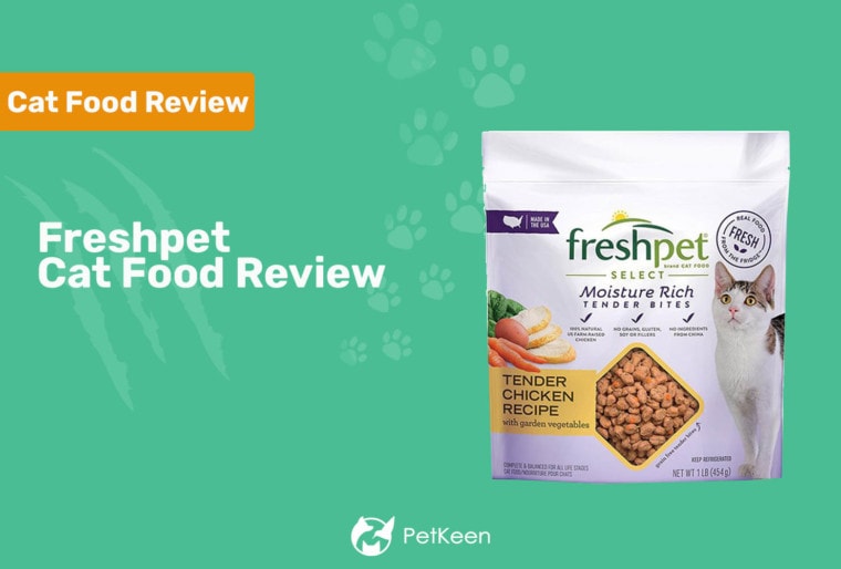 Freshpet Cat Food评论标头