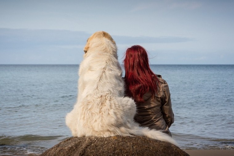 一个女人和她的宠物狗在海滩上