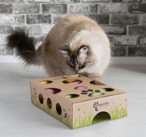猫玩猫惊人的互动治疗迷宫和谜猫玩具