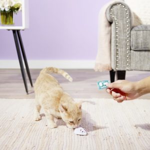 猫玩Hexbug远程控制老鼠猫玩具