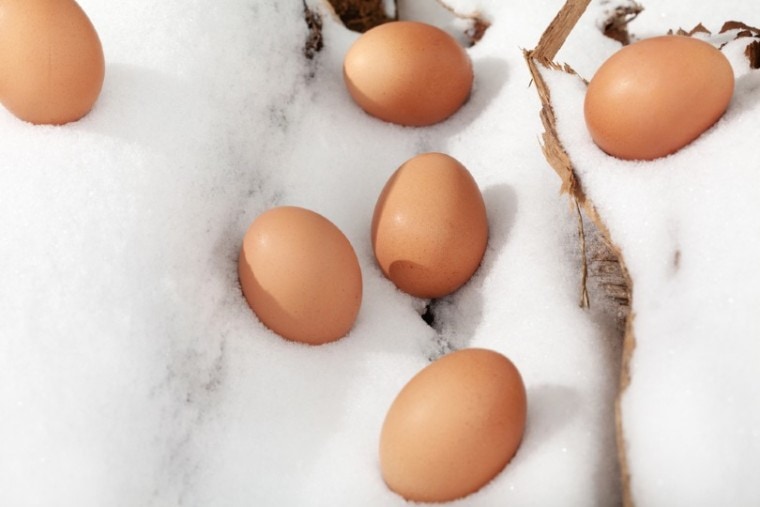 雪中​​的鸡蛋