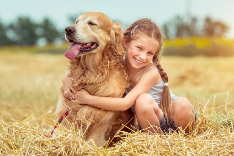 快乐的小女孩拥抱她的金毛狗