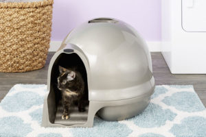 一只猫从一个圆顶形的猫砂盒里走出来